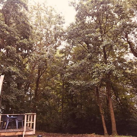 Basic Lodge In Nature Schagerbrug Esterno foto
